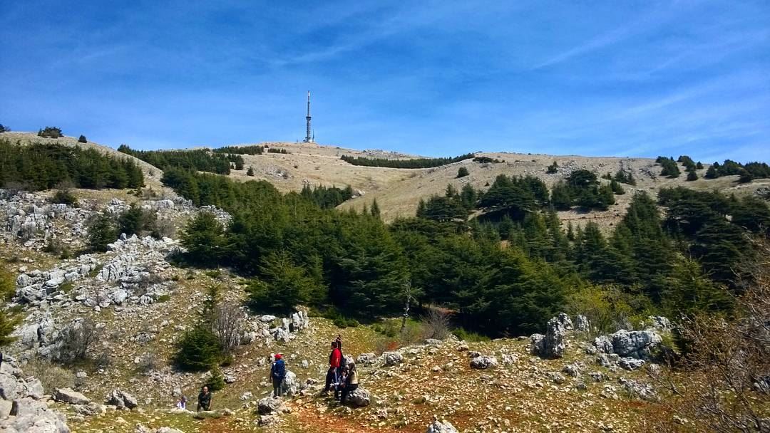 tb  lebanon_hdr  maaserelchouf  cedars  hiking  hikinglebanon  hikinglife... (Maaser El Shouf Cedars)