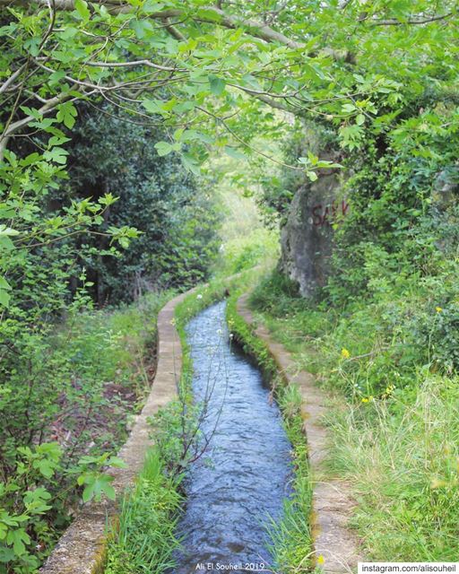  tb  nahereljouz  river  hiking  nature  mountlebanon   colorful ... (Naher El jouz)