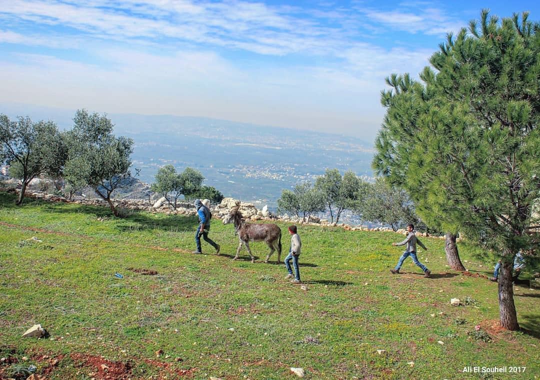  tb  nature  mountains  trees  sky  donkey  northlebanon  kids  green ... (Ouâdi Kfar Habou)