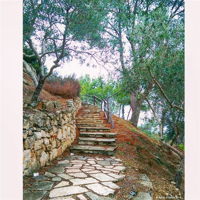  tb  nature  trees  maghdouche  southlebanon  stairs  lebanon  colorful ... (Maghdoûché, Liban-Sud, Lebanon)