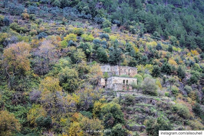  tb  qannoubine  qadisha  holy  valley  trees  building  northlebanon  ... (Ouâdi Qannoûbîne, Liban-Nord, Lebanon)