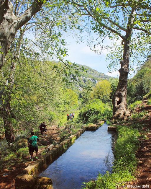  tb  river  mountlebanon  nature  lebanon_hdr   lebanon  trees  sky  pool ... (Nahr el Jaouz)