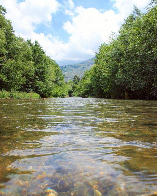  tb  river  trees  water  nature  chouf  weekend  hiking  sky  lebanon ... (Besri, Chouf)