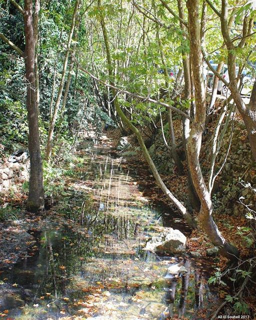  tb  river  trees  water  reflection  mountlebanon  lebanon  colorful ... (Daraya El Chouf)
