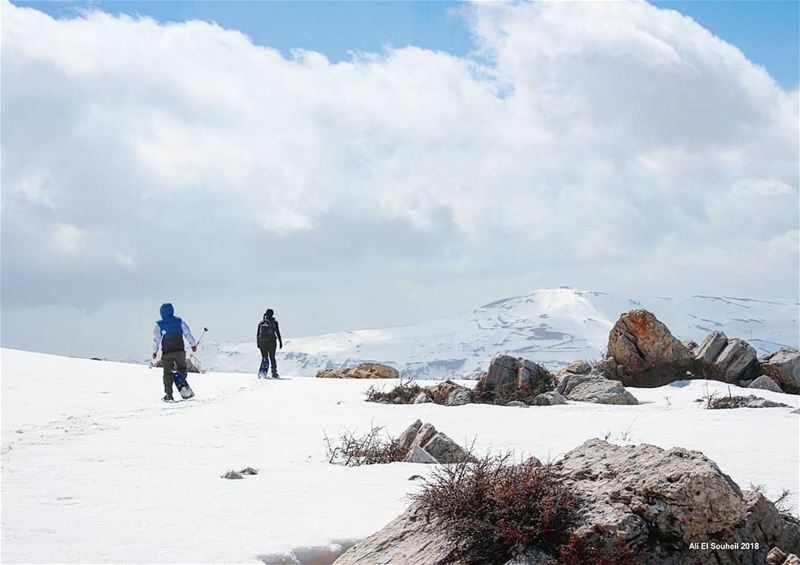  tb  snowshoeing  winter  snow  mountains  colorful  livelovelebanon ... (Faraya Kfardibiene)