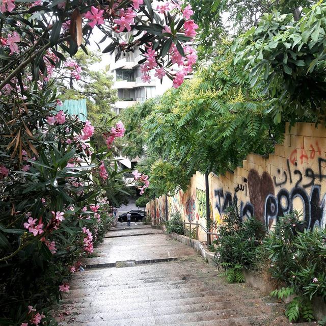  tb  stairs  hamra  colors  Beautiful  flowers  green  beirut ... (Hamra, Beyrouth, Lebanon)