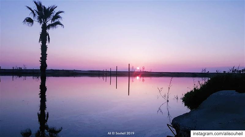  tb  sun  water  reflection  sour  southlebanon  palm   colorful ... (Tyre, Lebanon)