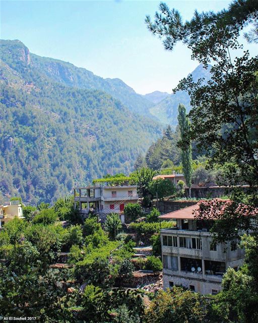  tb  sunday  hike  lebanese  village  mountains  nature  trees   colorful ... (Yahchouch)