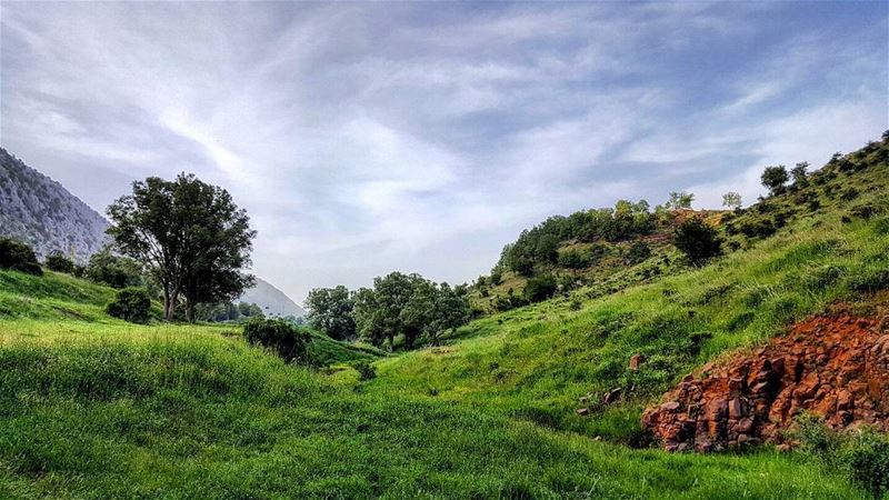 TB.. Tannourin, Lebanon .. insta_lebanon  like4like  fashion  smile ... (Tanourine)