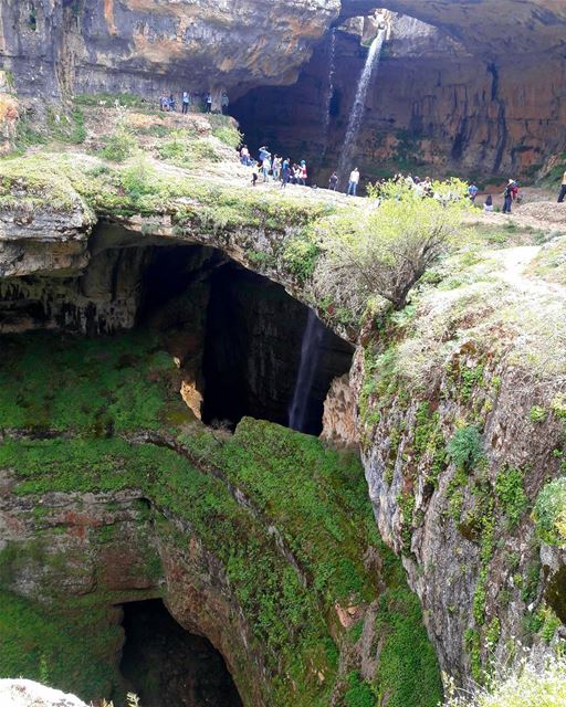  tb  tannourine  green  springtime  springcolors  nature  naturelovers ... (Bâloûaa Balaa)