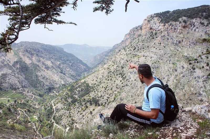  tb  tannourine  mountains  valley  nature  forest  naturelovers  hiking ... (Tannourine Cedars Nature Reserve)