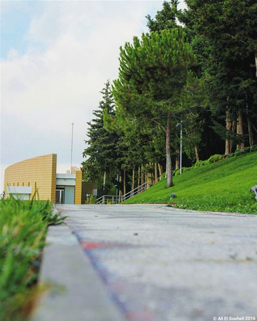  tb  tebnin  southlebanon  perspective  trees  green  architecture ... (Tebnin)