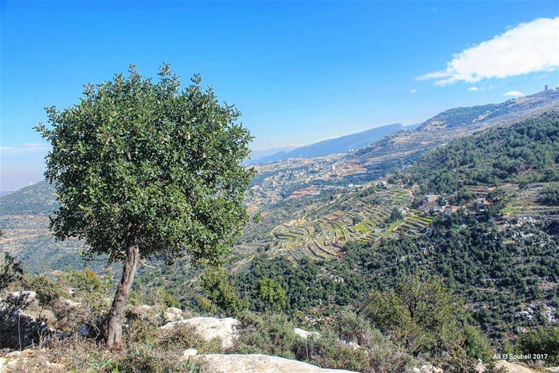  tb  tree  nature  sky  northlebanon  kfarhabo  colorful  livelovelebanon ... (Ouâdi Kfar Habou)