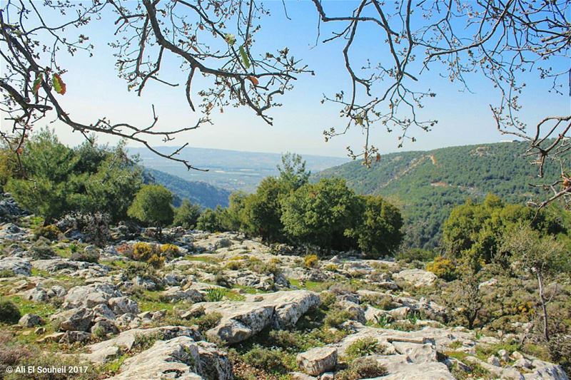  tb  trees  mountains  northlebanon  valley  green  rocks  nature  sky ... (Mazraat Et Teffâh, Liban-Nord, Lebanon)