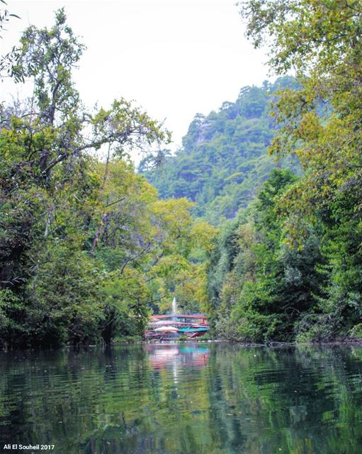  tb  turkey  alanya  river  water  reflection  nature  mountains  trees ... (Alanya/Turkey)