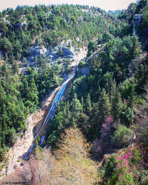  tb  waterfall  river  forest  amazing  awesome  nature  natural ... (Mazraat Al Touffah)