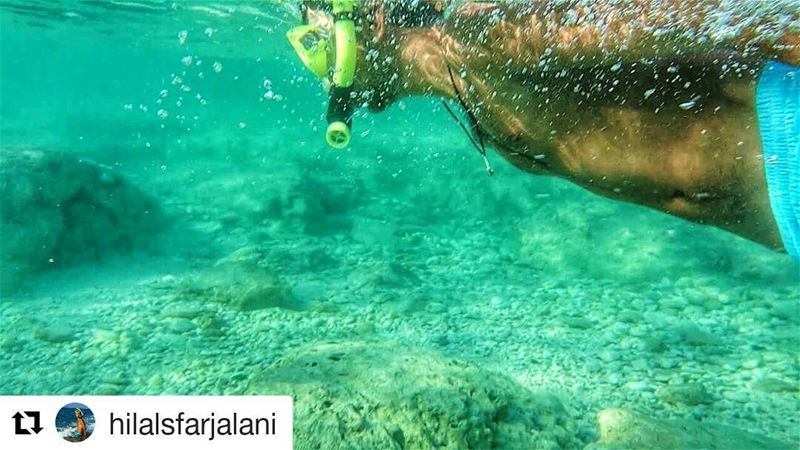  tb 🔙 Who misses summer 🏖 ☀ 🌊  come back soon 🙏 🍀 🌊 🌊 🔝  love ... (Rabbits Island- El Mina.)