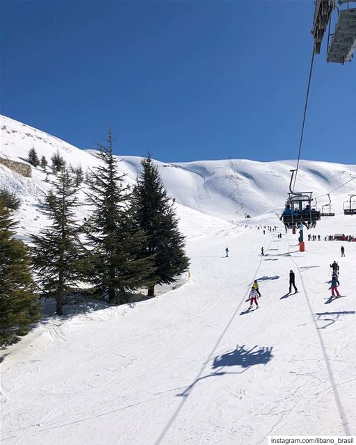 🇱🇧🇧🇷  tbt da última temporada de inverno no Líbano, época onde as... (Mzaar Kfardebian)