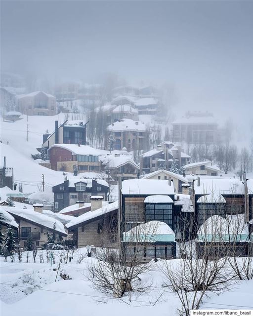 🇱🇧🇧🇷  tbt do último inverno no Líbano. Foto de @alexander_photography97 (Kfardebian, Mont-Liban, Lebanon)