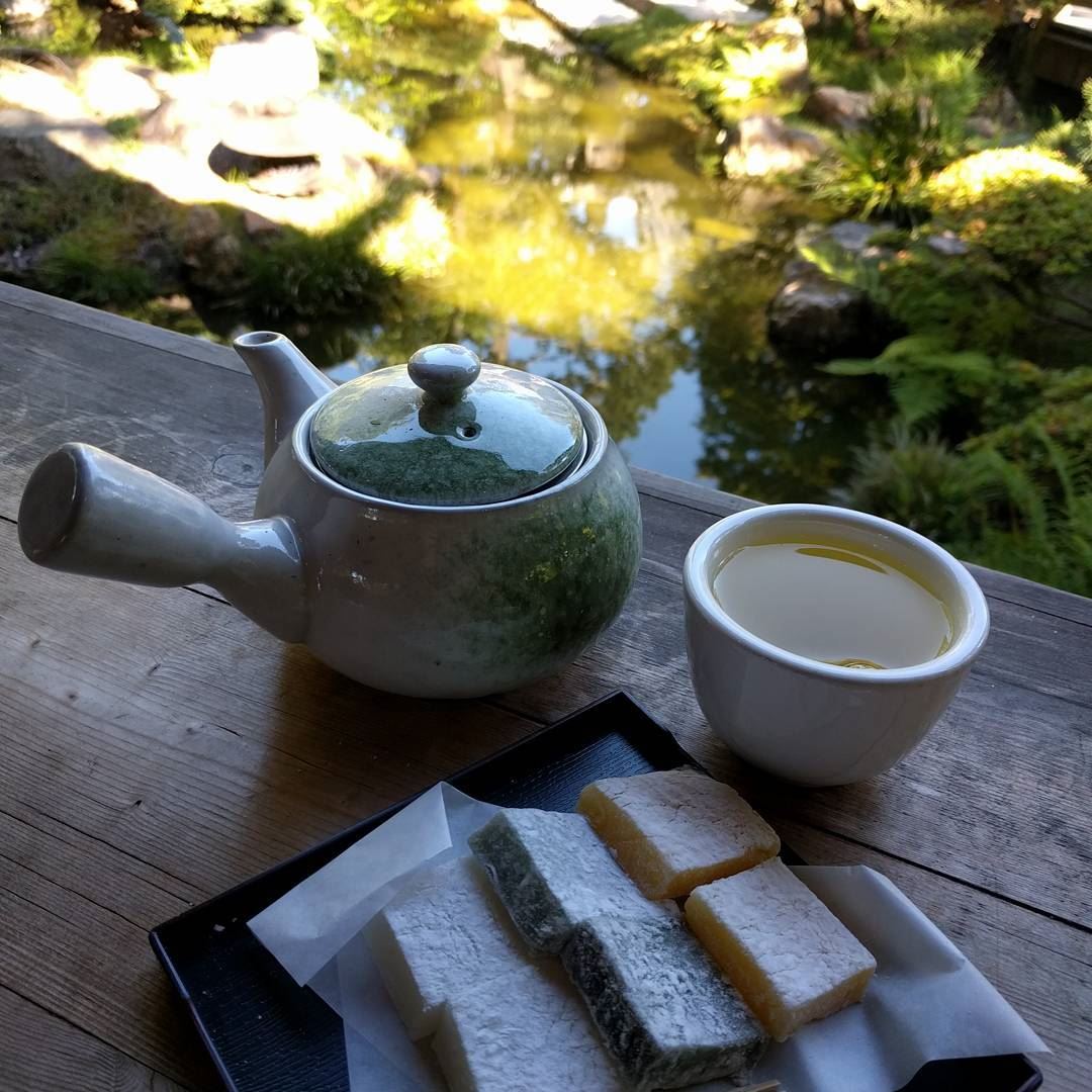  tealover   tea  greentea   japanesegarden   nicewheather  view  amazing ... (Japanese Tea Garden)