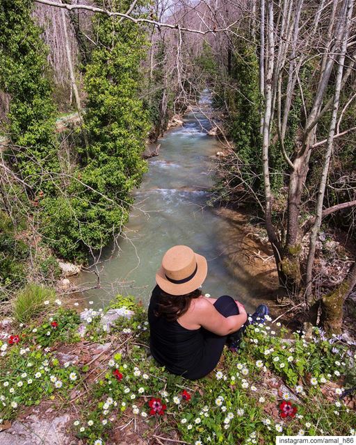 Tell the wild I’m home 👒..... neverstopexploring ... (El-Mukhtarah, Mont-Liban, Lebanon)