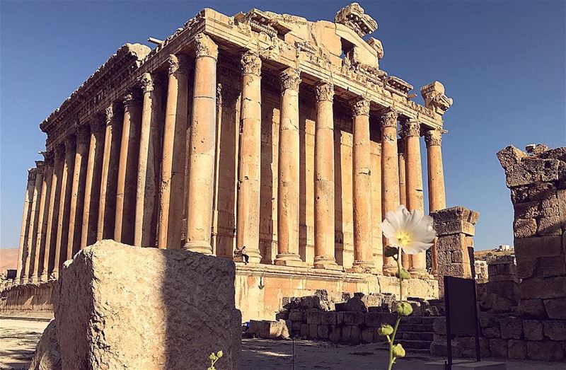  templeofjupiter  romanheliopolis  zeus  baalbek  lebanon  lebanonshots ... (Baalbek , Roman Temple , Lebanon)