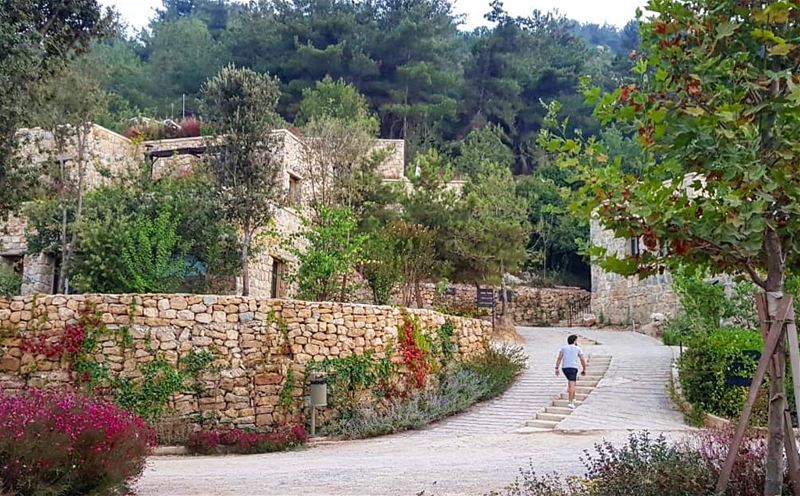 Temsheye 😋💚 ........... Lebanon  bkerzay  chouf  ... (Bkerzay)