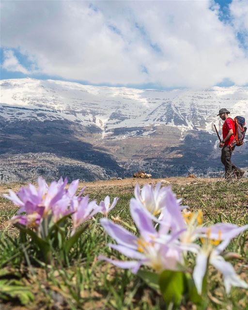 Tenham uma ótima semana inspirada por esta inesquecível paisagem do Monte... (Mount Sannine)