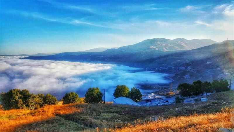 Thank God men cannot fly, and lay waste the sky as well as the earth."Henr (Dahr El Baïdar, Mont-Liban, Lebanon)