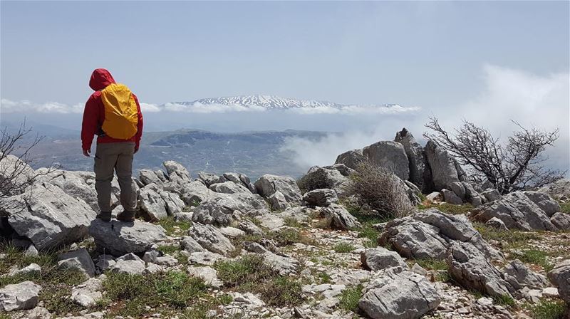 Thank you for the amazing photo @marioplesej  lebanon  nature  hiking ...