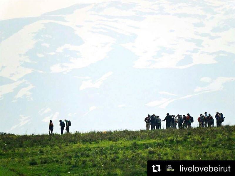 Thank you @livelovebeirut ! Together we can show the world the beauty of...