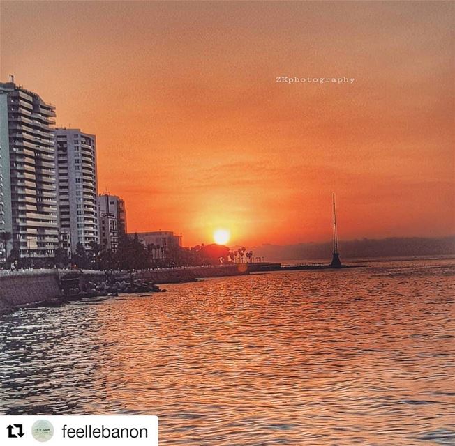 Thank you so much for the lovely feature and Repost @feellebanon 😊🌸✌・・・...