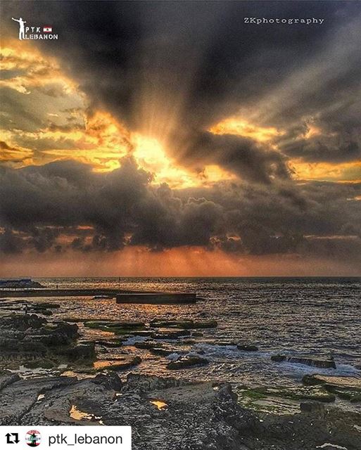 Thank you so much for the lovely feature and Repost @ptk_lebanon 🌸😊🙌🏼✨...