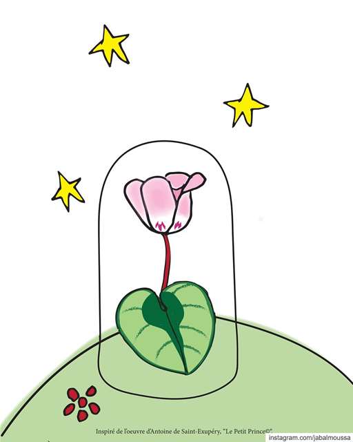 Thanks to your posts, now the Little Prince knows what makes Cyclamen...