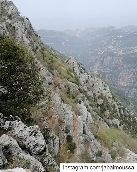That Epic View! Trailoftheviolets  JabalMoussa  unesco  unescomab ... (Jabal Moussa Biosphere Reserve)
