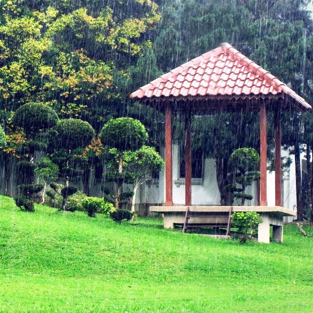 That Gazebo, Don't! Just enjoy walking under the rain instatraveling ... (Penang Botanic Gardens)