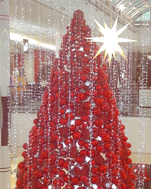 That magical time of the year🌲 💫💫💫  christmas  christmastree ... (City Mall - Dora)