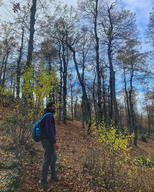 That moment, after climbing half the hill, when i realized i forgot the... (`Akkar, Liban-Nord, Lebanon)