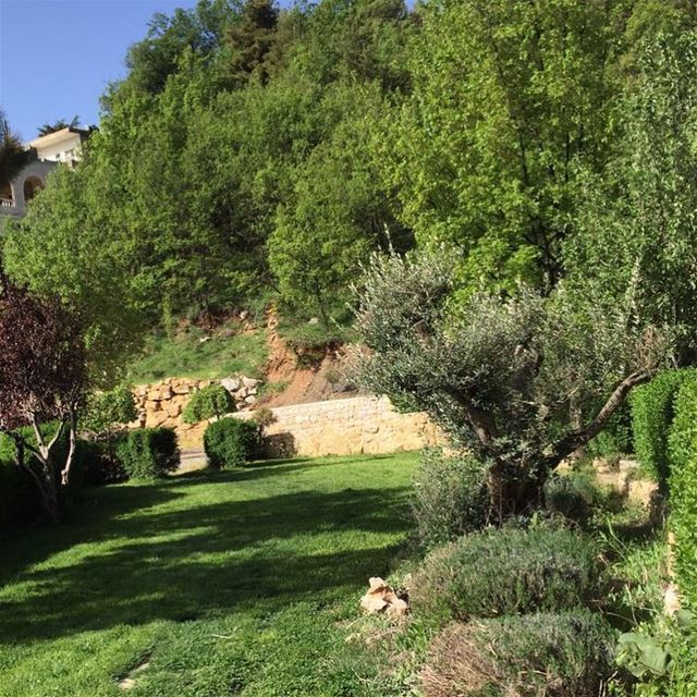 That's our  nature ☺️  jalsat  restaurant  mayrouba  faraya  mountains ...
