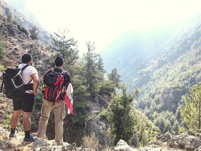 🇱🇧🇱🇧 That we-are-not-looking pose though 🌿 (Ouâdi Qannoûbîne, Liban-Nord, Lebanon)