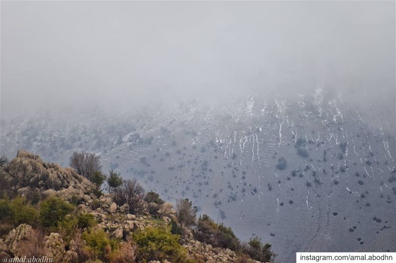 the 3 stages ❄ .... lebanon  photography  photographylovers ... (Chebaâ, Al Janub, Lebanon)