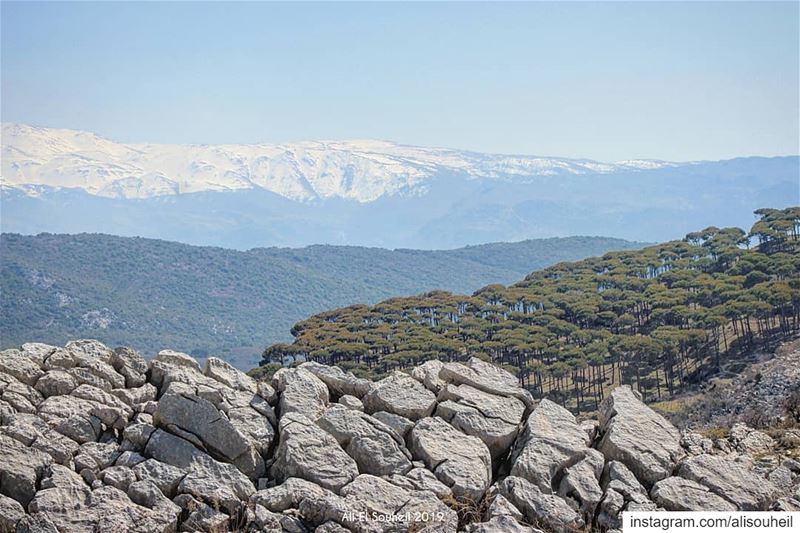 The 5 layers photo  tb  hiking  southlebanon  aramta  rocks  mountains ... (`Aramtá, Al Janub, Lebanon)