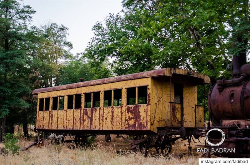 The abandoned trip__________________________________________Rayak -... (Rayak International train Station)