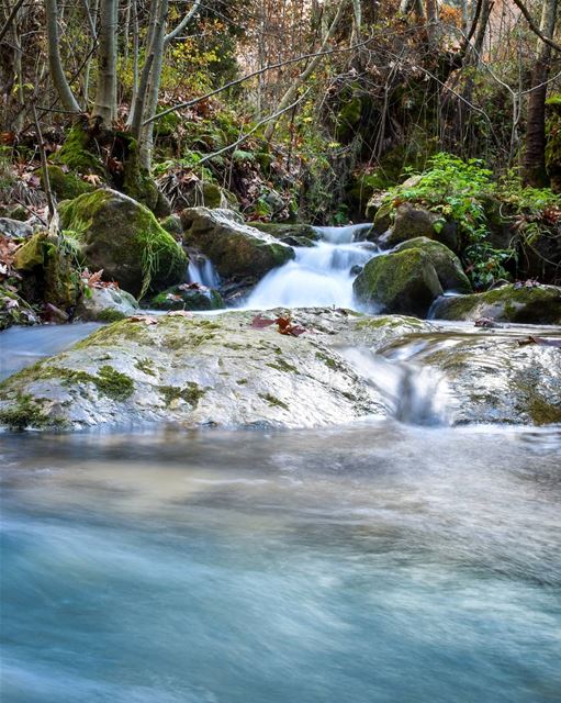 The adventure has just started ⛰️ river  forest  lebanon  lebanese ... (Tannurin At Tahta, Liban-Nord, Lebanon)