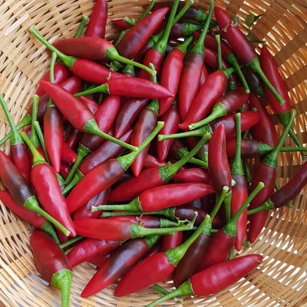 The air was full of spices wantsome? Spices, Herbalism Seeds Remedies... (Qurnat Shahwan, Mont-Liban, Lebanon)