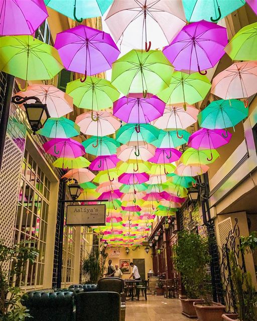 The Alleyway is back with new collection of crazy colored umbrellas up!!