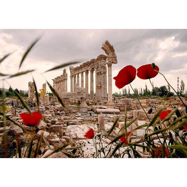 The ancient roman ruins at Baalbeck , February 1970 .