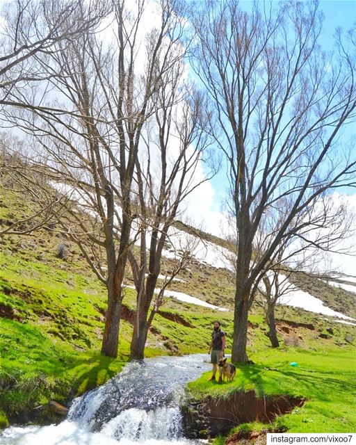 The antidote to exhaustion isn't rest, its nature🍃 hikingadventures ... (Lebanon)