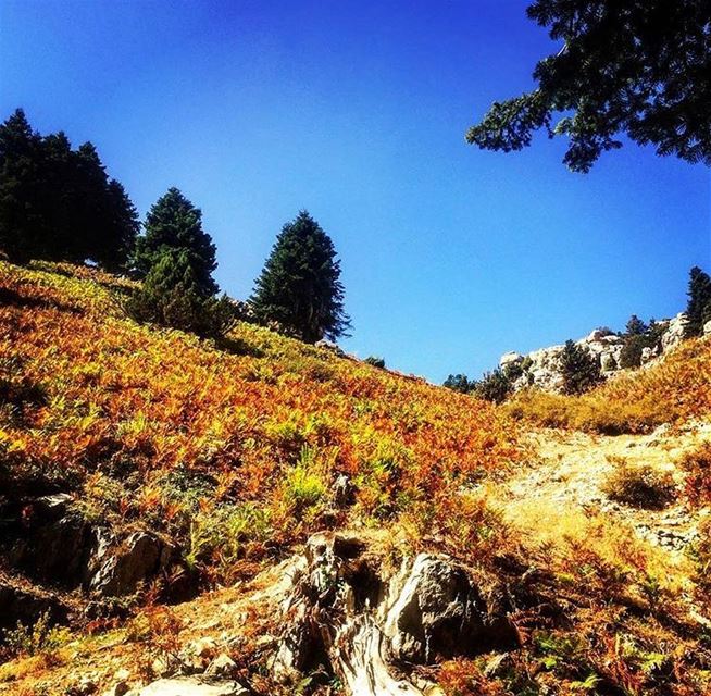 The art of God.   trekking  hiking  nature  kobayat  livelovekobayat  hill... (Al Qubayyat, Liban-Nord, Lebanon)