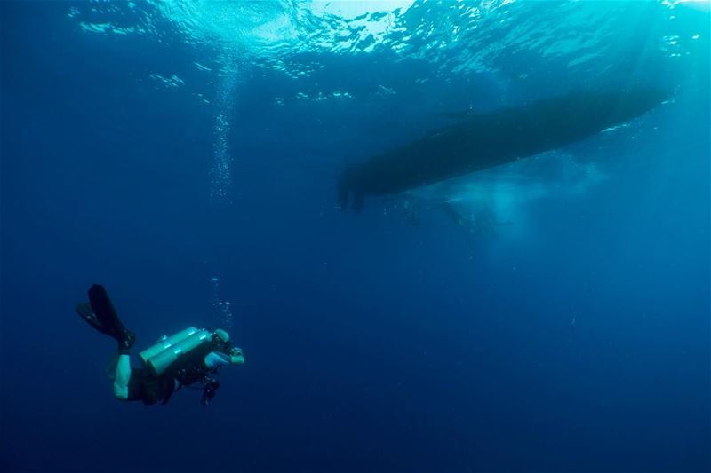 The ascend... my  lens covers the final minutes of our  dive, finalizing...